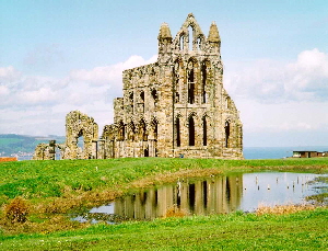 whitby - abbey